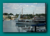 Our boat for the harbour cruise